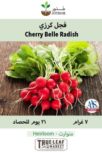 بذور فجل كرزي - Cherry Belle Radish Seeds