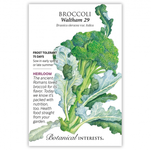 بذور بروكلي ولثام - Broccoli (classic) Waltham 29 Seed