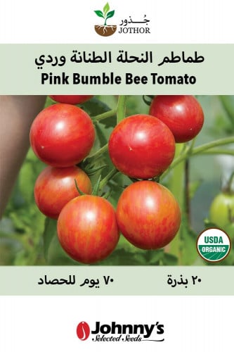 بذور طماطم النحلة الطنانة وردي عضوي - Pink Bumble...