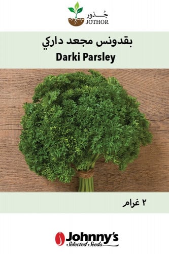 بذور بقدونس داركي المجعد - Darki Parsley Seeds
