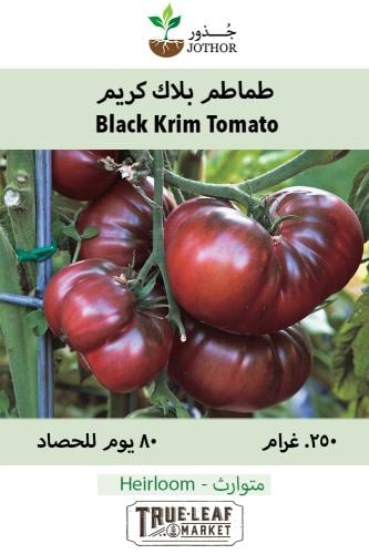 بذور طماطم بلاك كريم - Black Krim Tomato Seeds