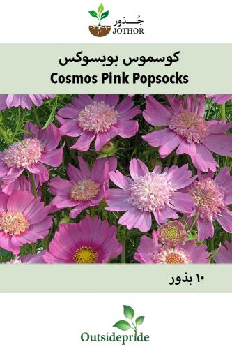 بذور كوسموس بوبسوكس - Cosmos Bipinnatus Pink Popsocks Seeds