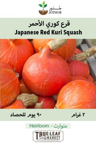 بذور قرع كوري الأحمر  - Japanese Red Kuri Squash Seeds