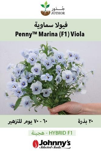 بذور فيولا سماوية - Penny™ Marina (F1) Viola Seed