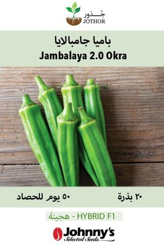 بذور بامية جامبالايا - Jambalaya (F1) Okra Seed