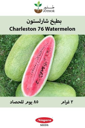 بذور بطيخ شارلستون - Charleston 76 Watermelon Seeds