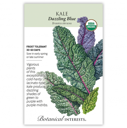 بذور كيل أزرق - Kale Dazzling Blue Seeds
