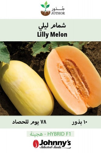 بذور شمام ليلي - Lilly (F1) Melon Seeds