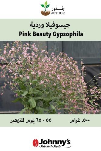 بذور جيسوفيلا وردية - Pink Beauty Gypsophila Seed