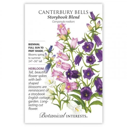 بذور زهور الأجراس - Canterbury Bells, Storybook Blend Canterbury Bells Seeds