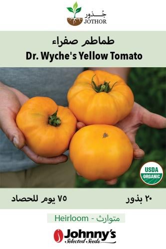 بذور طماطم صفراء - Dr. Wyche's Yellow Organic Tomato Seed