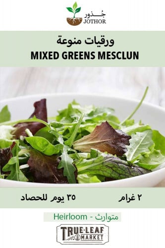 بذور ورقيات منوعة - Lettuce Mixed Greens Mesclun M...