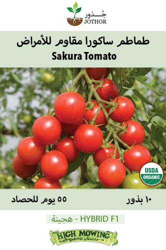 بذور طماطم ساكورا مقاوم للأمراض - Sakura Tomato Se...