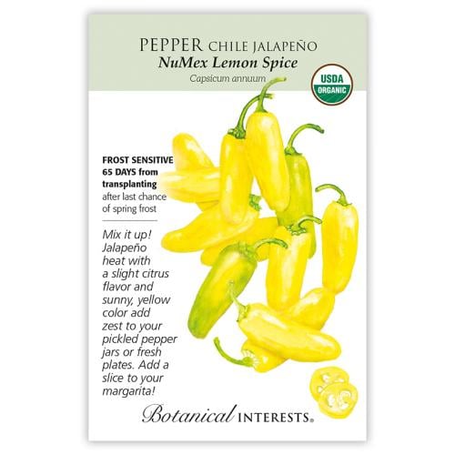 بذور فلفل هالبينو أصفر - Pepper Chile Jalapeno Lemon Seeds