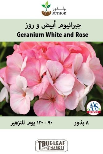 بذور جيرانيوم ابيض - White  to rose Geranium Seeds