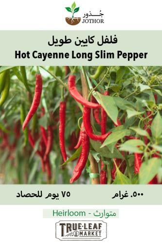 بذور فلفل كايين طويل - Hot Cayenne Long Slim Pepper Seeds