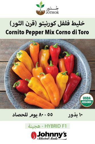 بذور فلفل كورتينو ( قرن الثور ) - Cornito Pepper Mix Organic (F1) Corno di Toro Pepper Seed