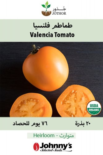 بذور طماطم فلنسيا - Valencia Organic Tomato Seeds