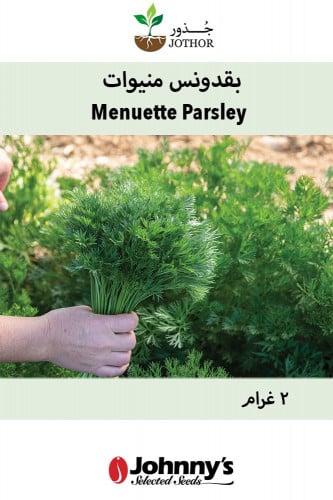 بذور بقدونس منيوات - Menuette Parsley Seeds