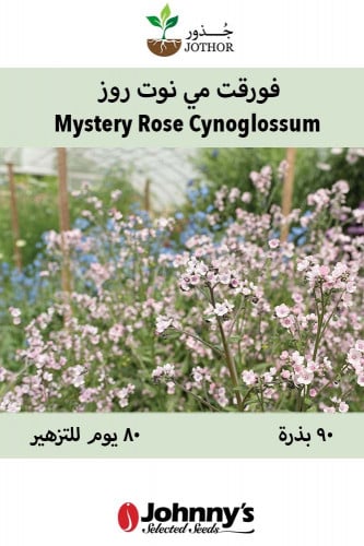 بذور فورقت مي نوت روز - Mystery Rose Cynoglossum Seed