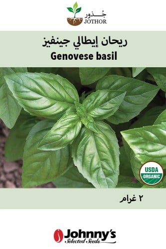 بذور ريحان إيطالي جنفيز - Genovese Basil Seeds
