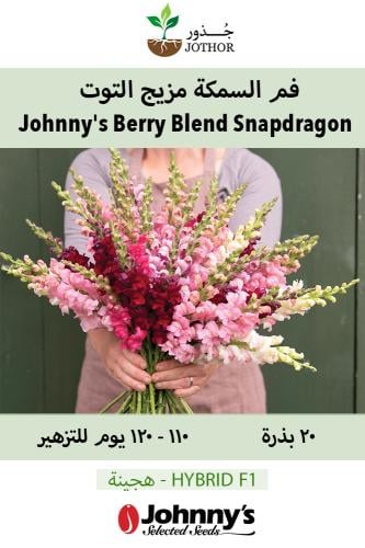 بذور فم السمكة مزيج التوت - Johnny's Potomac Summer Berry Blend (F1) Snapdragon Seed