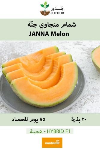 بذور شمام منجاوي جنة - Janna Melon Seeds