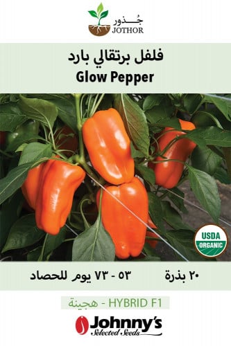 بذور فليفلة باردة عضوية - Glow Organic (F1) Pepper Seeds