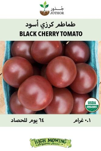 بذور طماطم كرزي أسود - Black Cherry Tomato Seeds