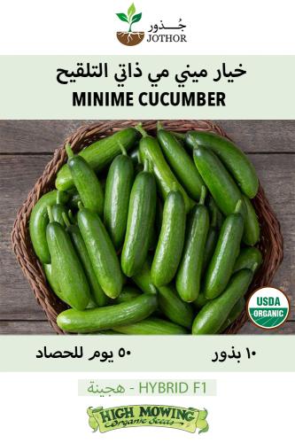 بذور خيار ميني مي ذاتي التلقيح - Minime Cucumber Seeds