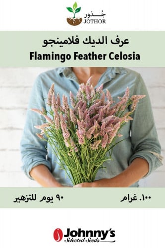 بذور عرف الديك فلامينجو - Flamingo Feather Celosia...
