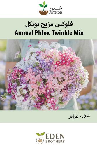 بذور فلوكس مزيج تونكل - Annual Phlox Seeds - Twinkle Mix