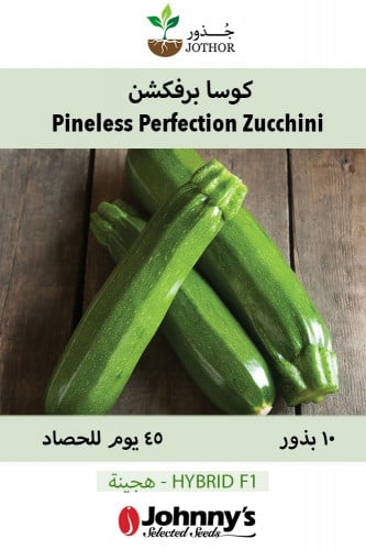 بذور كوسا برفكشن - Spineless Perfection Zucchini Squash Seeds