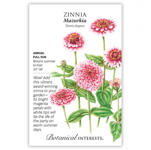 بذور زينيا مازوركيا - Zinnia Mazurkia Seeds