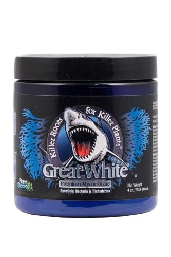 فطر المايكورايزا القرش الابيض - Great White 4oz