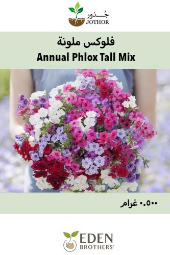 بذور فلوكس ملونة - Annual Phlox Seeds - Tall Mix
