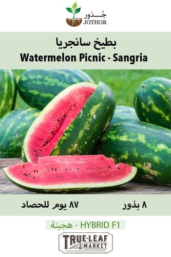 بذور بطيخ سنجاريا - Watermelon Picnic - Sangria Seeds