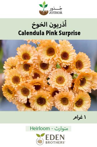 بذور اذريون الخوخ - Calendula Pink Surprise Seeds