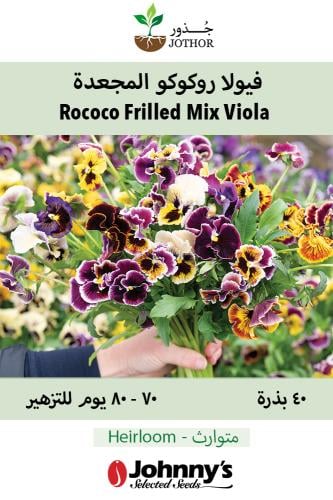بذور فيولا روكو المجعدة - Rococo Frilled Mix Viola Seed