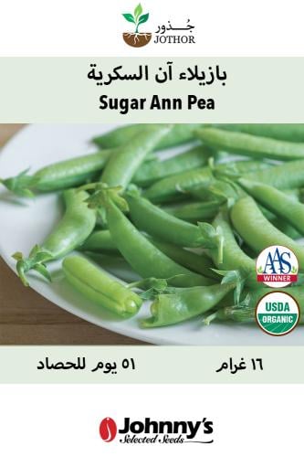 بذور بازيلاء ان السكرية - Sugar Ann Pea Seeds