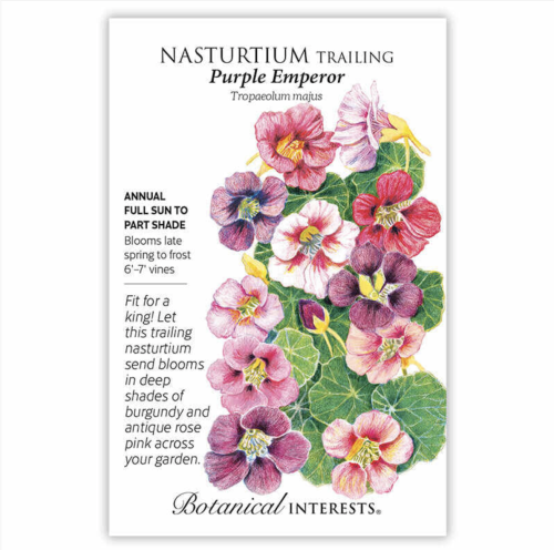 بذور أبو خنجر بنفسجية - Purple Emperor Trailing Nasturtium Seeds