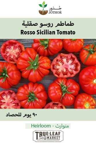 بذور طماطم روسو صقلية - Rosso Sicilian Tomato Seed...