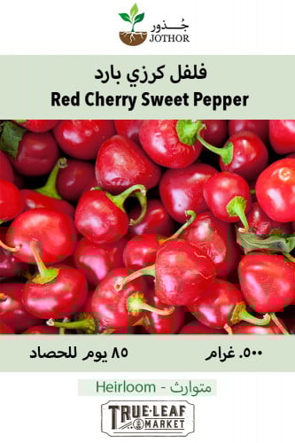 بذور فلفل كرزي بارد - Red Cherry Sweet Pepper Seeds
