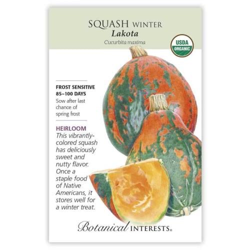 بذور قرع لاكوتا - Squash Winter Lakota Org
