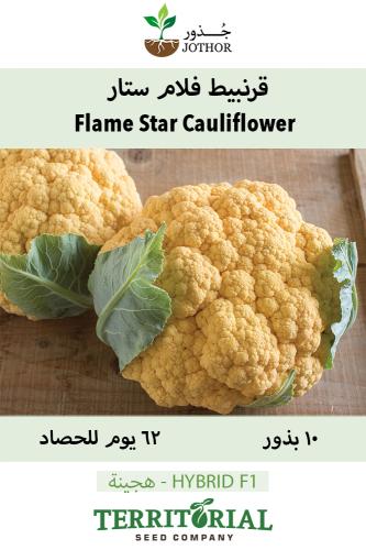 بذور قرنبيط فلام ستار - Flam Star Cauliflower