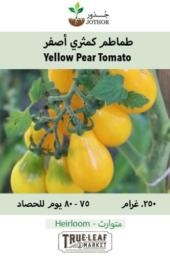 بذور طماطم كمثري أصفر متسلق - Tomato Yellow Pear Seeds