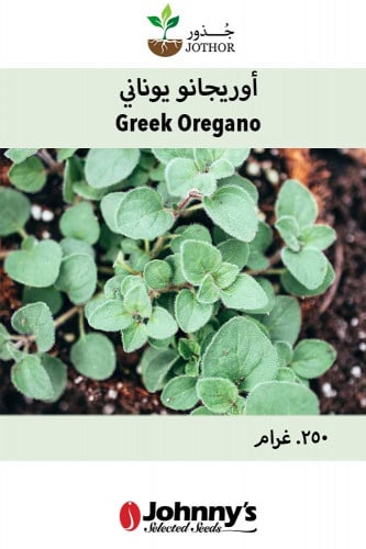 بذور اوريجانو يوناني - Greek Oregano Seeds
