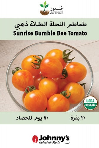 بذور طماطم النحلة الطنانة ذهبي - Sunrise Bumble Bee Tomato Seeds