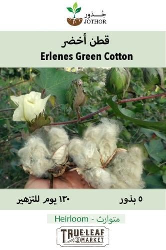 بذور قطن أخضر - Erlenes Green Cotton Seeds