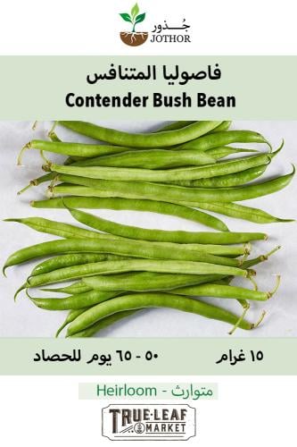 بذور فاصوليا المتنافس - Bean Seeds - Bush - Contender
